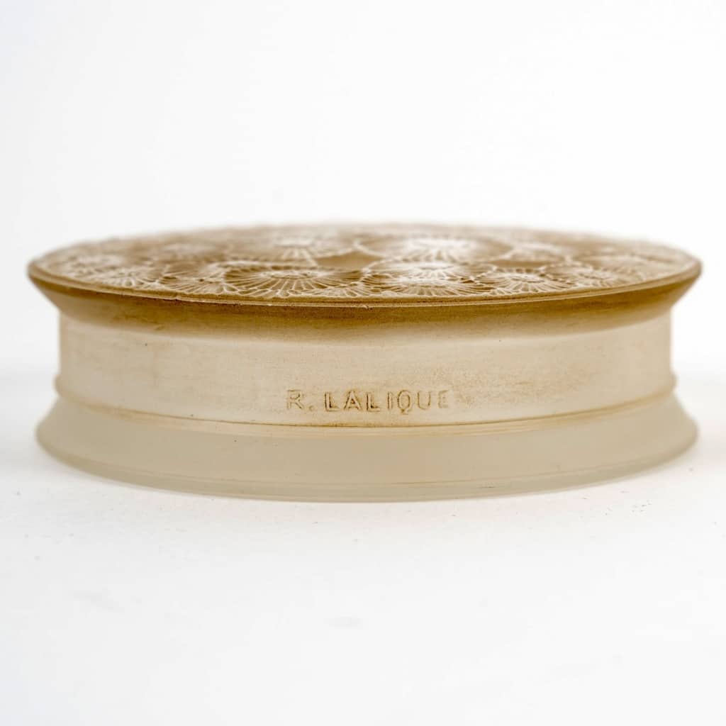 Boîte "Marguerites" verre blanc patiné sépia de René LALIQUE 
