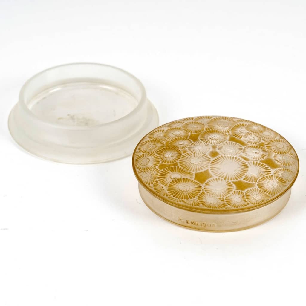 Boîte "Marguerites" verre blanc patiné sépia de René LALIQUE 