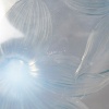 Coupe « Lys » verre opalescent patiné bleu de René LALIQUE | Biron 