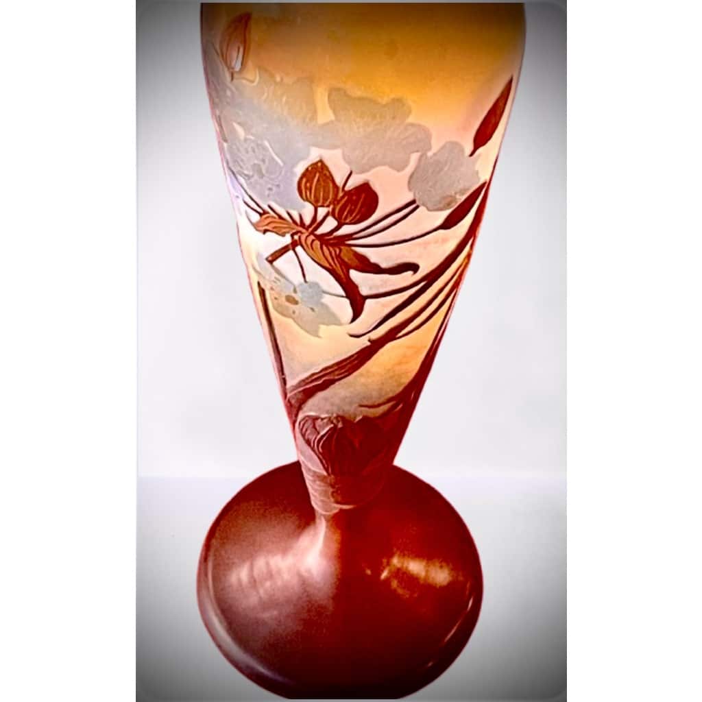 EMILE GALLÉ VASE AQUATIQUE | Biron 