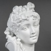 Splendide biscuit de sèvres signé Paul Duboy (1830-1887) représentant une jeune femme aux cheveux ondulés, 19 ème siècle | Biron 