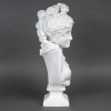 Splendide biscuit de sèvres signé Paul Duboy (1830-1887) représentant une jeune femme aux cheveux ondulés, 19 ème siècle | Biron 