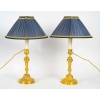 Paire de Bougeoirs vers 1820 de Style Louis XVI en Bronze Ciselé, Montée en Lampes | Biron 