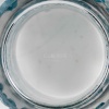 Vase « Bacchus » verre blanc patiné bleu de René LALIQUE | Biron 