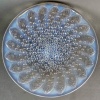 Coupe « Roscoff » verre opalescent de René LALIQUE | Biron 