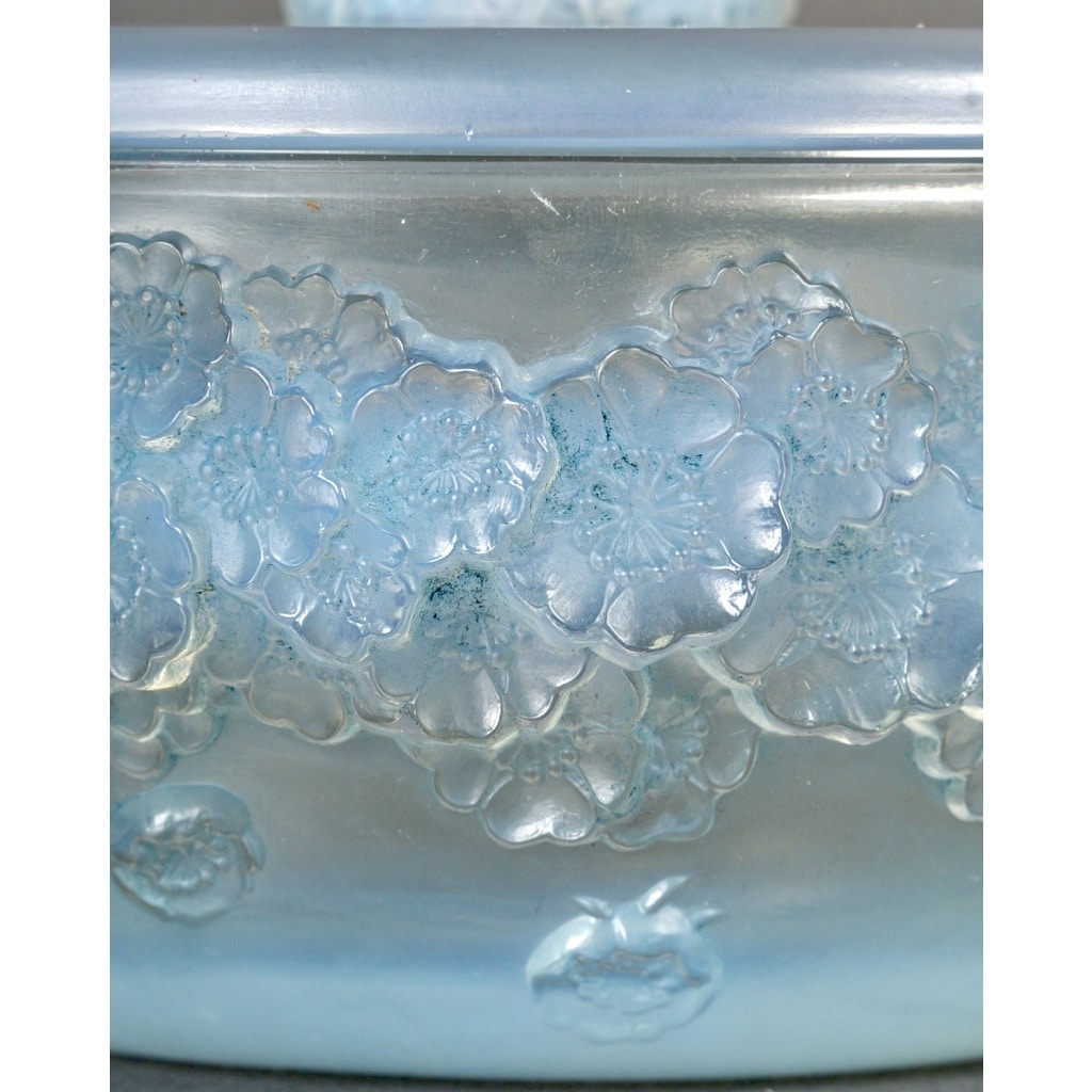 Boîte « Primevères » verre opalescent patiné bleu de René LALIQUE | Biron 