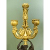 De style Empire en bronze doré, Grande paire de candélabres, circa 1890 | Biron 