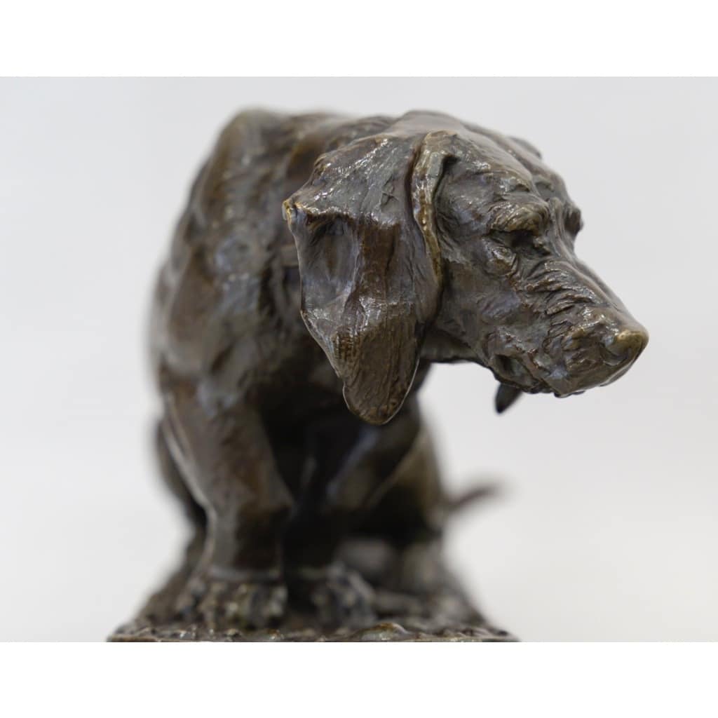 Sculpture – Basset Assis , Antoine – Louis Barye (1795-1875) – Bronze | Biron 