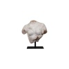 Sculpture, Hellenistic female bust. | Biron 
