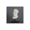 Sculpture de Tête d’Hercule, petite taille, en résine et socle en métal. | Biron 