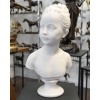 Buste De Marie – Louise Brongniart , Jean – Antoine Houdon (1741-1828) – Marbre | Biron 