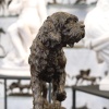 Sculpture – Le Chien Marco , Charles Valton (1851-1918) – Bronze | Biron 