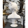 Buste De Marie – Louise Brongniart , Jean – Antoine Houdon (1741-1828) – Marbre | Biron 