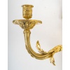 Paire d’appliques au coq en bronze doré dans le style Transition Louis XV-Louis XVI | Biron 