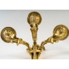Paire d’appliques au coq en bronze doré dans le style Transition Louis XV-Louis XVI | Biron 