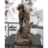 Sculpture – Le Chien Marco , Charles Valton (1851-1918) – Bronze | Biron 