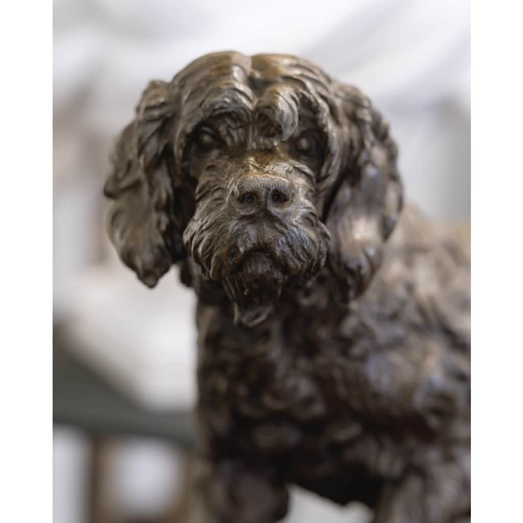 Sculpture – Le Chien Marco , Charles Valton (1851-1918) – Bronze | Biron 