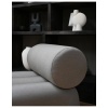 Paire de fauteuils contemporain – couleur taupe – tissu résistant au soleil – design milieu XXIème siècle. | Biron 
