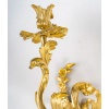 Paire d’appliques à deux lumières d’époque Louis XV en bronze ciselé et doré, vers 1750 | Biron 