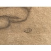 MAILLOL Aristide Nu allongé Fusain sur papier signé certificat d’authenticité | Biron 