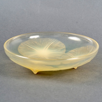 Coupe "Volubilis" verre jaune opalescent de René LALIQUE