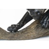 Sculpture Monumentale en Bronze – Panthère à Patine Noire sur Branche, Commande Unique Début XX 19