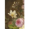 Edouard DIART 1840-1890 Nature morte aux Fleurs 19
