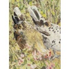 Hélène RIVIERE 1896-1977 Les Poules 11