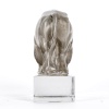 Presse-Papiers « Bison » verre blanc patiné gris de René LALIQUE 12
