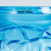 Vase « Sauterelles » cristal bleu électrique de LALIQUE 11 Vase « Sauterelles » cristal bleu électrique de LALIQUE 11