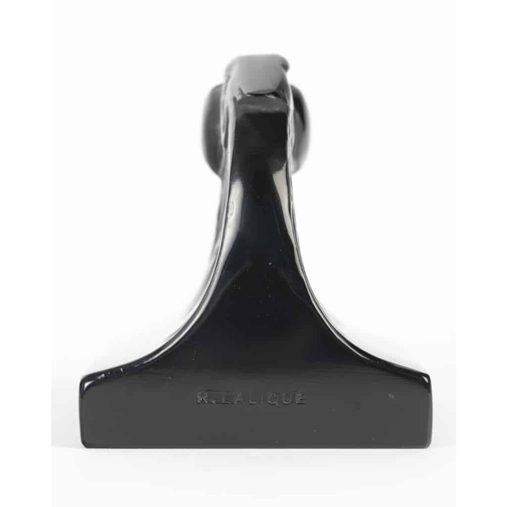 Presse-Papiers « Deux Aigles » verre ambre foncé de René LALIQUE 7