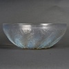 Coupe « Chicorée » verre opalescent de René LALIQUE 12
