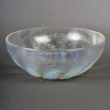 Coupe « Chicorée » verre opalescent de René LALIQUE 11