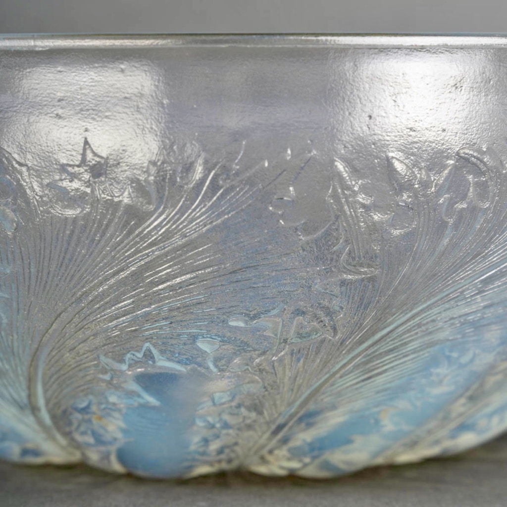 Coupe « Chicorée » verre opalescent de René LALIQUE 6