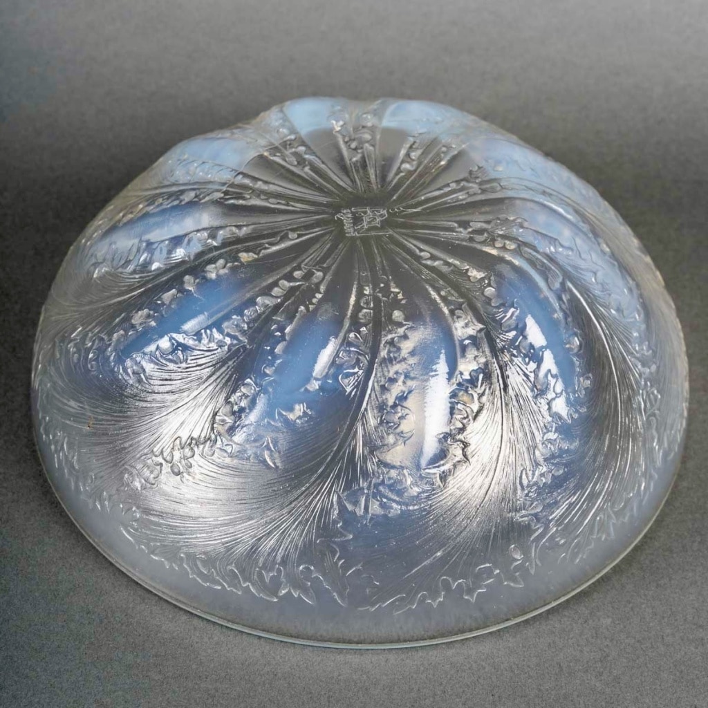 Coupe « Chicorée » verre opalescent de René LALIQUE 7