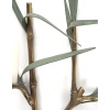 1960 Paire rare d’appliques murales en bronze modèle bambou signées Maison Charles 16