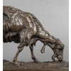 Sculpture – Chèvre Broutant , Pierre – Jules Mêne (1810-1879) – Bronze 16