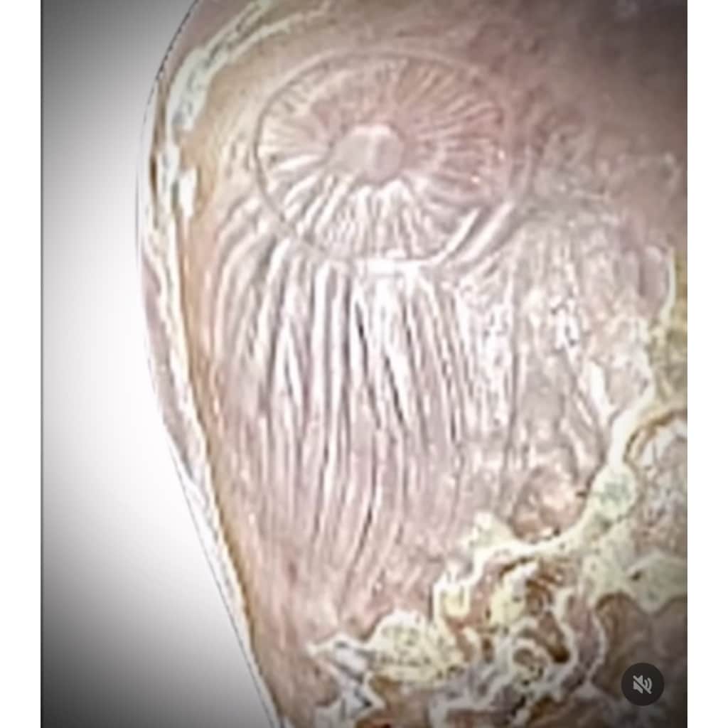 RARE VASE DES ETABLISSEMENTS DAUM 6