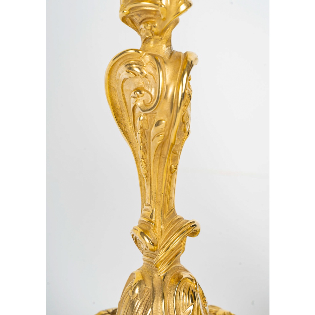 D’après Juste-Aurèle Meissonnier Paire de flambeaux de style Louis XV aux papillons en bronze doré, Montée en Lampes 8 D’après Juste-Aurèle Meissonnier Paire de flambeaux de style Louis XV aux papillons en bronze doré, Montée en Lampes 8