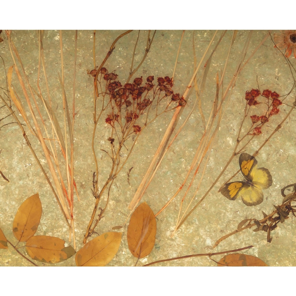 Table d’apppoint d’Accolay en résine et métal doré 7