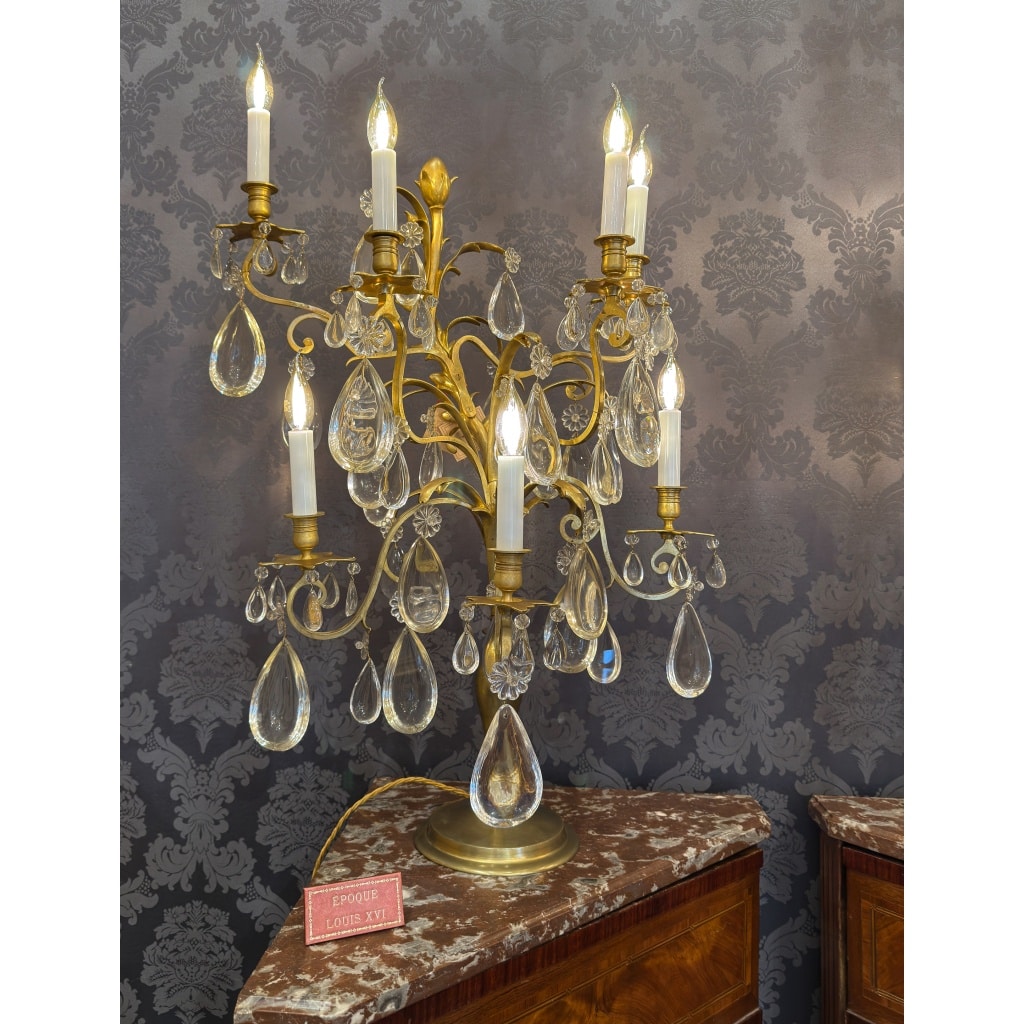 Hôtel du Comte Potocki Paire d’importantes girandoles en bronze doré et décor de cristal Baccarat vers 1890 4