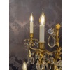 Hôtel du Comte Potocki Paire d’importantes girandoles en bronze doré et décor de cristal Baccarat vers 1890 34