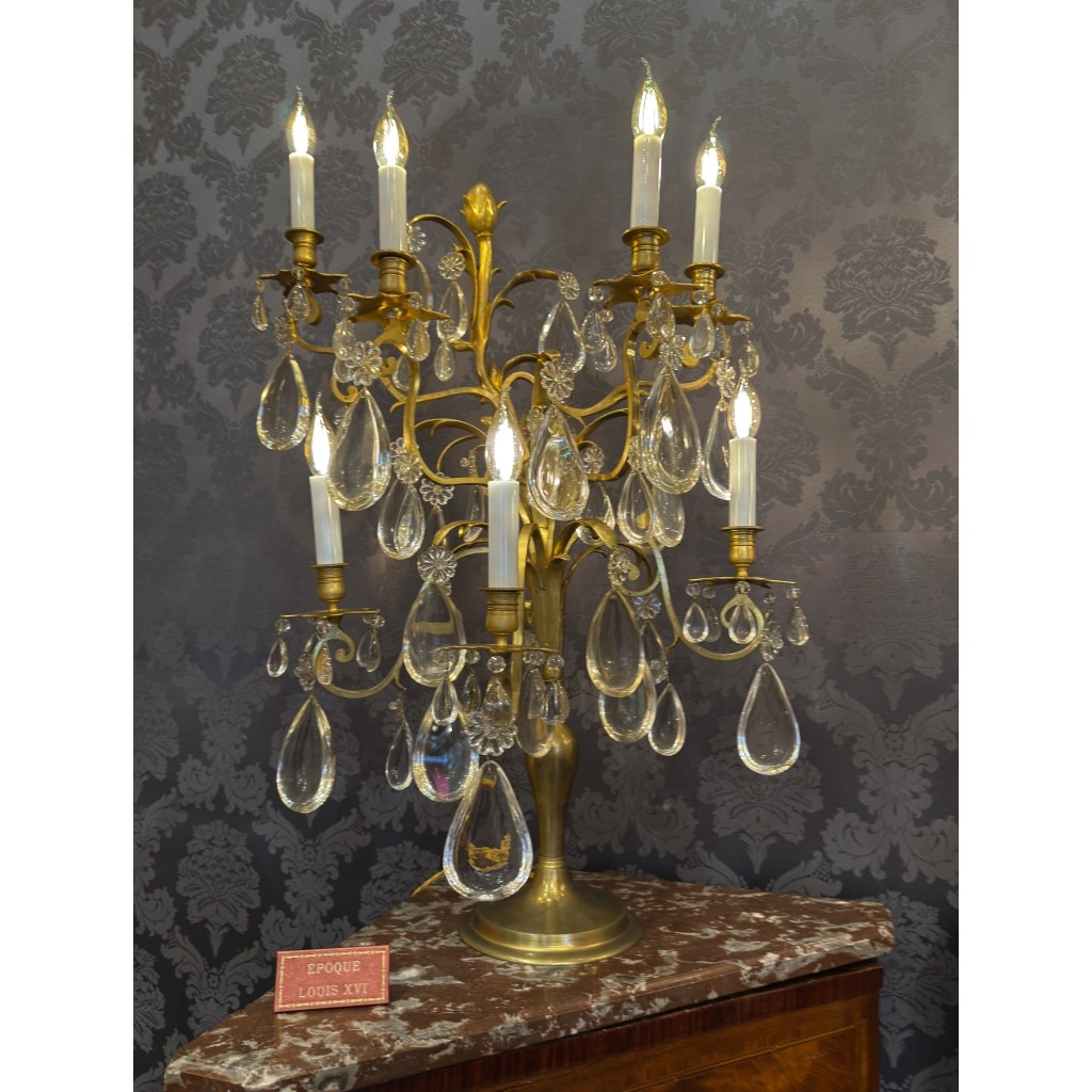 Hôtel du Comte Potocki Paire d’importantes girandoles en bronze doré et décor de cristal Baccarat vers 1890 17