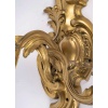 Paire d’appliques à trois lumières de style Louis XV Rocaille en bronze à patine doré, vers 1900 16 Paire d’appliques à trois lumières de style Louis XV Rocaille en bronze à patine doré, vers 1900 16