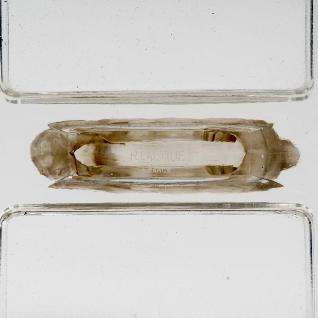 Cendrier « Chèvre » verre blanc patiné sépia de René LALIQUE 8