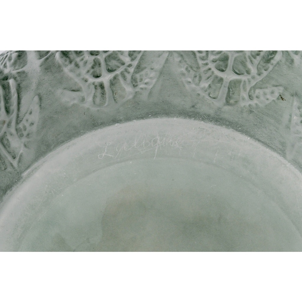 Vase « Fougères » verre blanc patiné vert de René LALIQUE 7