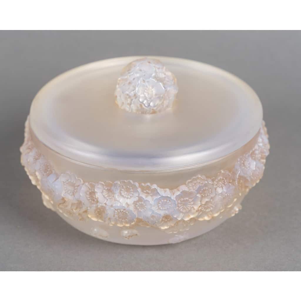 Boîte « Primevères » verre opalescent patiné sépia de René LALIQUE 3