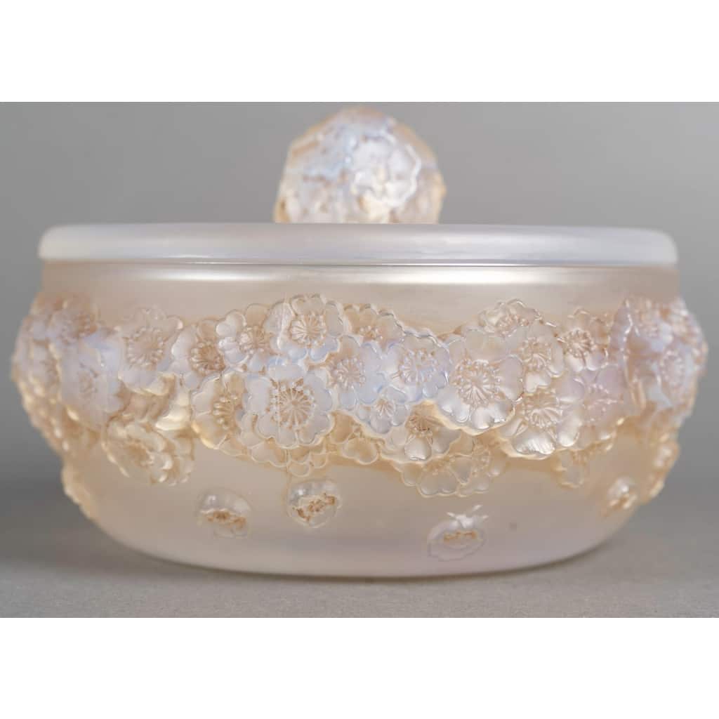 Boîte « Primevères » verre opalescent patiné sépia de René LALIQUE 2