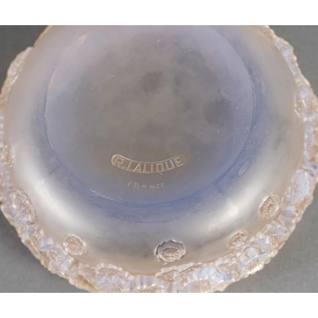 Boîte « Primevères » verre opalescent patiné sépia de René LALIQUE 5