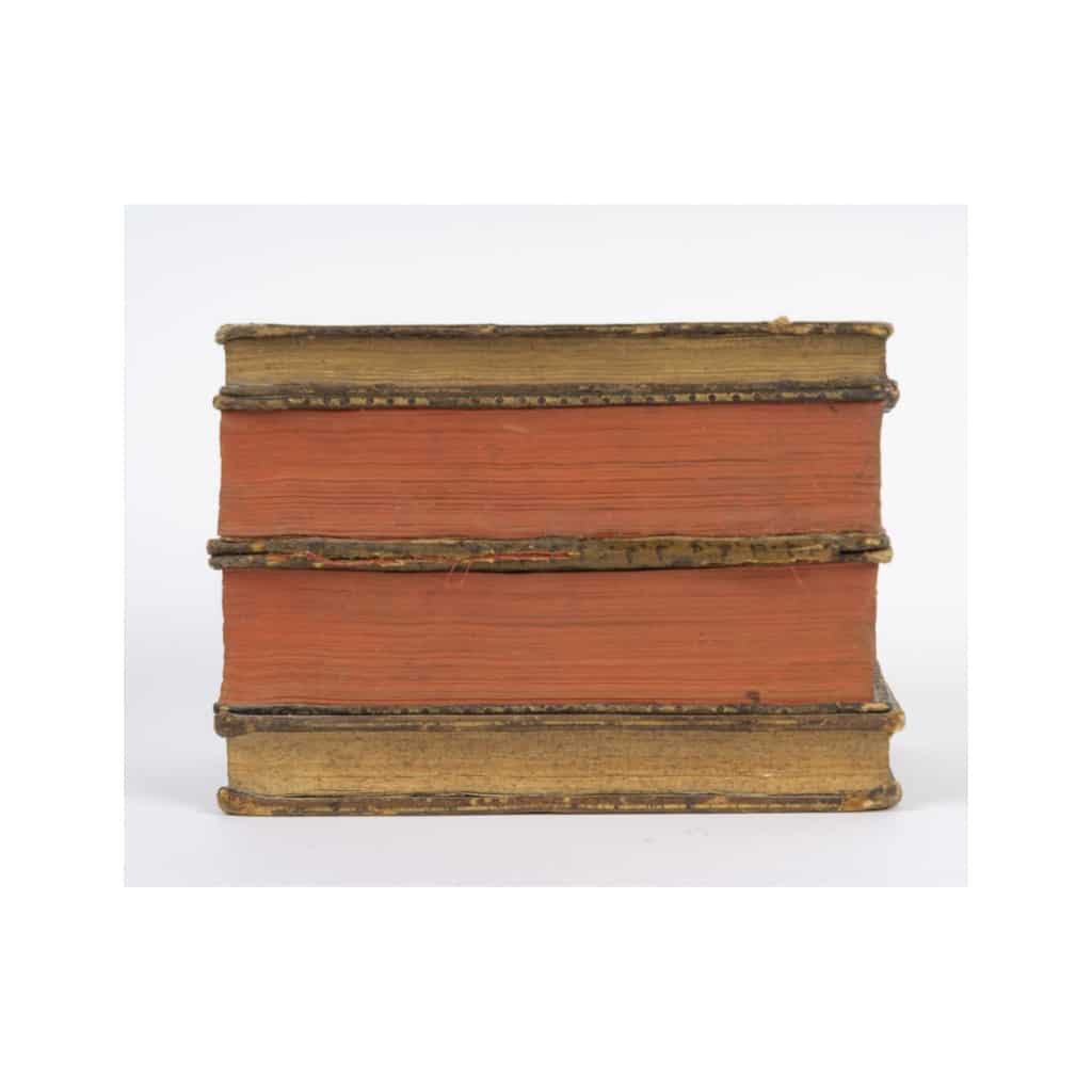 Faux livre cachant 2 carafe à liqueur, style Napoléon III, début du XXème siècle. 6 Faux livre cachant 2 carafe à liqueur, style Napoléon III, début du XXème siècle. 6